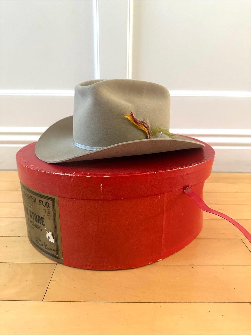 Vintage Stetson 3X Beaver Felt Hat with Feather Trim